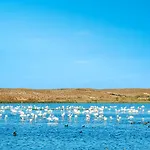 Nau Salgados Lagoas