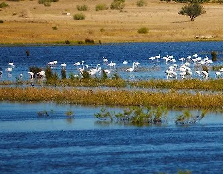 Nau Salgados Lagoas 4* Albufeira
